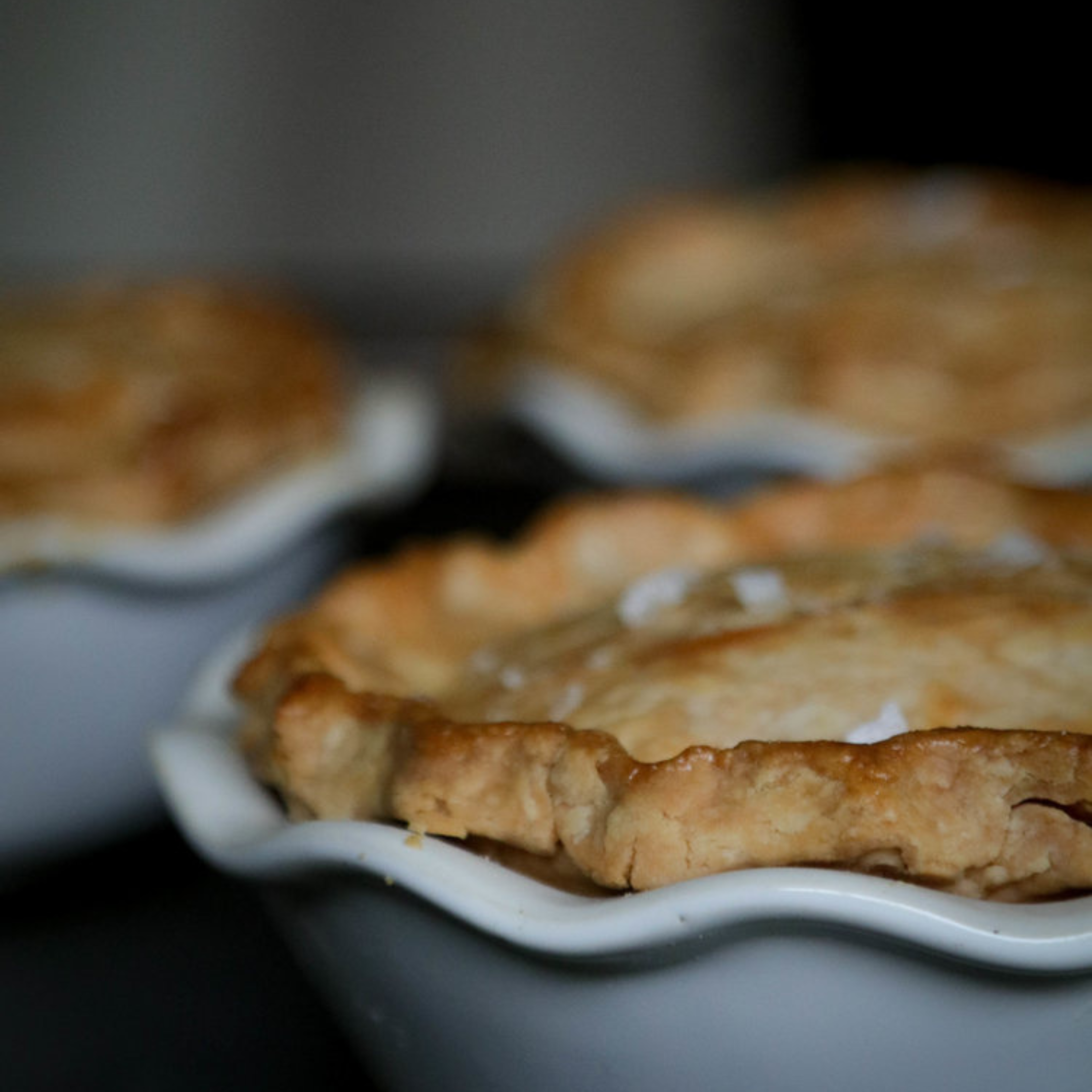 Alaska Seasoning Company - Vendita all'ingrosso Mix di spezie secche - Salsa Alfredo in polvere8