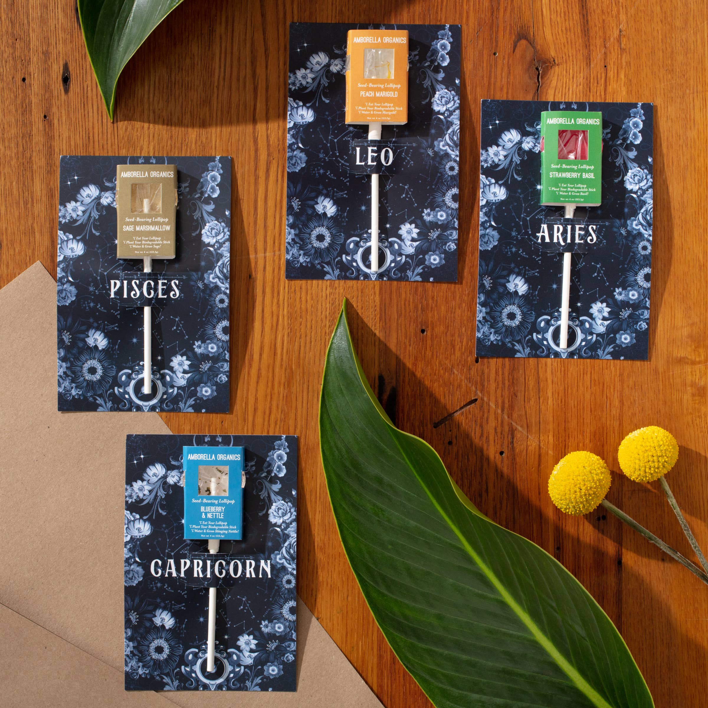 Amborella Organics - Wholesale Lollipop - Astrology Cards w/ Seed-Bearing Lollipop (Eat, Plant, Grow)3