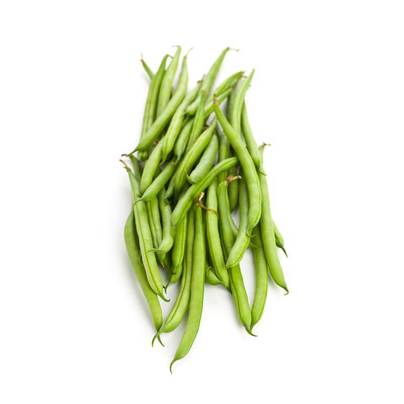 Bentley Seed Co. - Wholesale Plant Seeds - Beans, Kentucky Wonder Pole Bean Seed Packets2