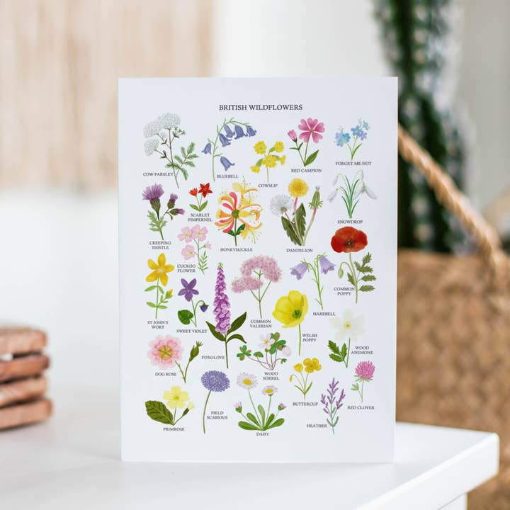 Sarah Frances - Wholesale Everyday Greeting Card - British Wildflowers Greetings Card