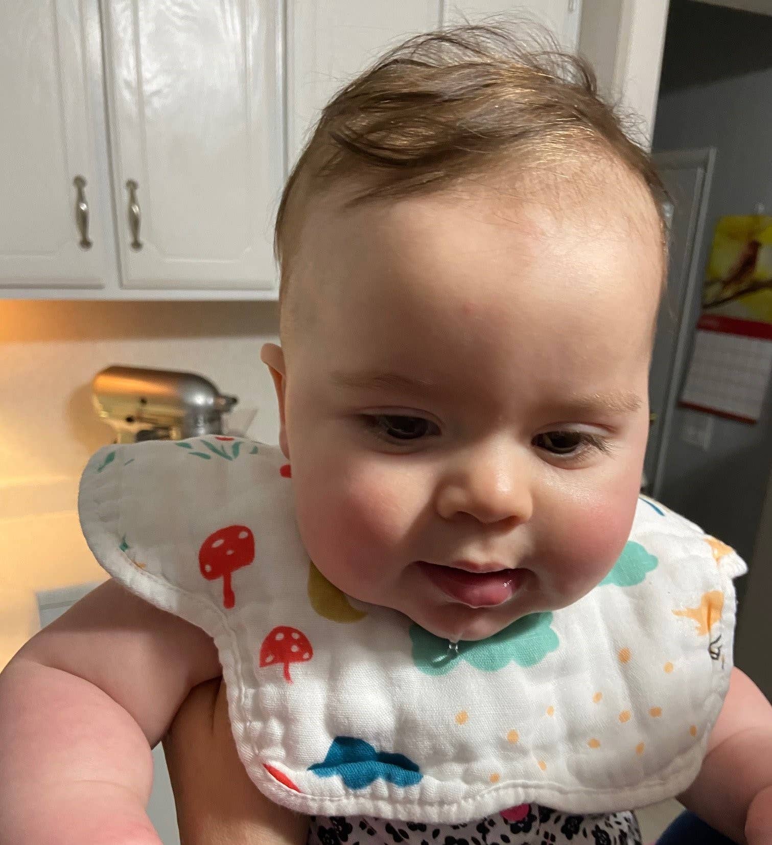 Kit Carson Accessories - Wholesale Bib - Baby - Baby Bib to help with Drooling 12 style assortment ***2