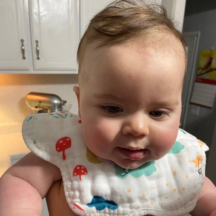 Kit Carson Accessories - Wholesale Bib - Baby - Baby Bib to help with Drooling 12 style assortment ***2