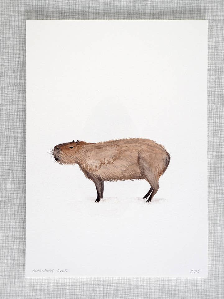 Capybara Animal Print A4 size for wholesale by Mary and the Locks