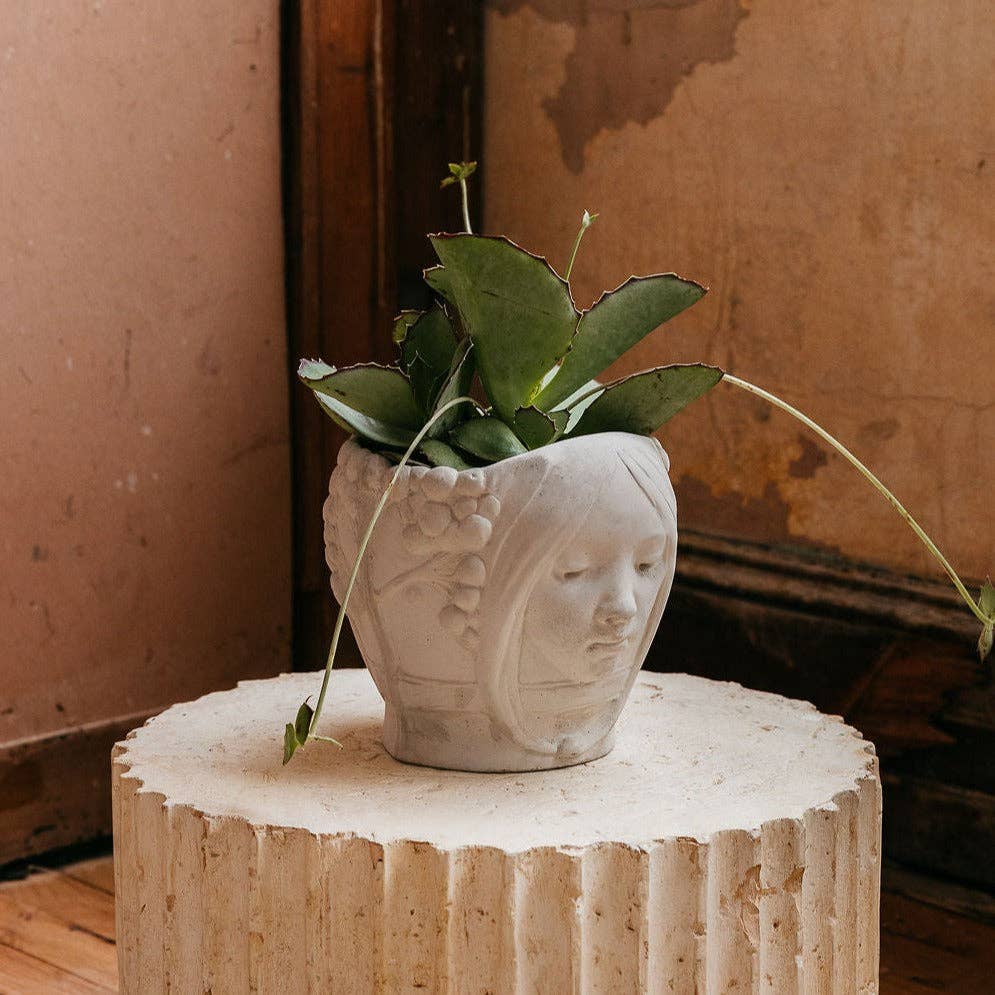 House Parts, Inc. - Wholesale Plant Pot - Astral Twins Planter2