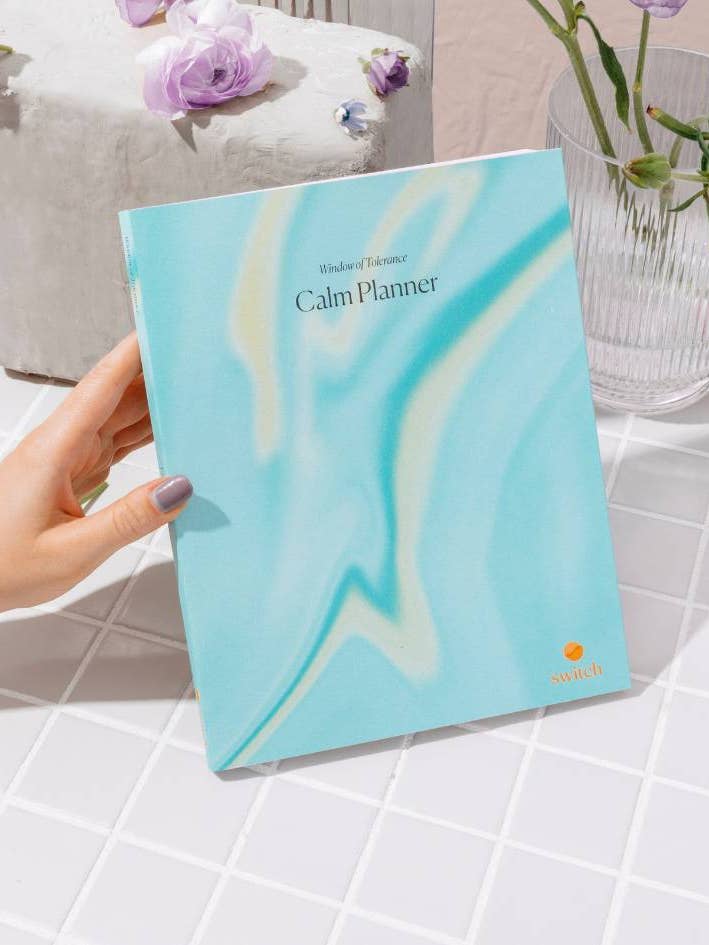 Calm Planner - Window of Tolerance for wholesale by Switch Research