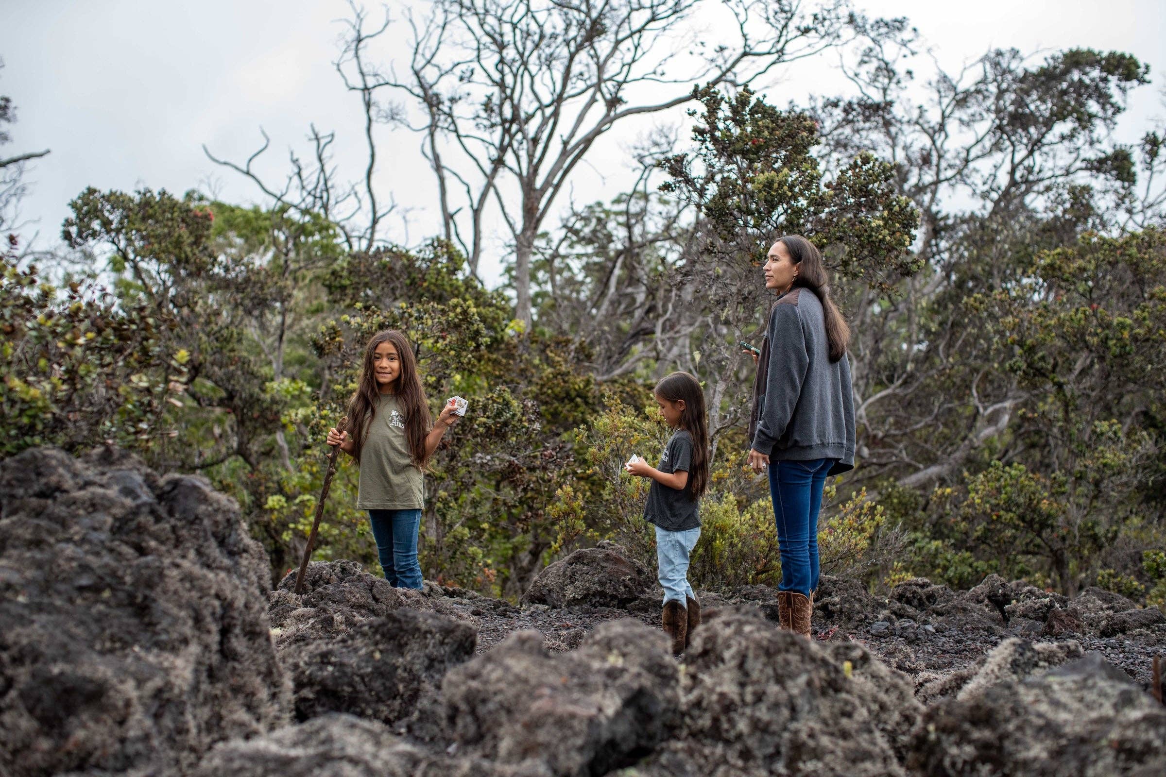 The Keiki Dept - Wholesale Brain Game - Kids - The Memory Game: Mauna Kea3