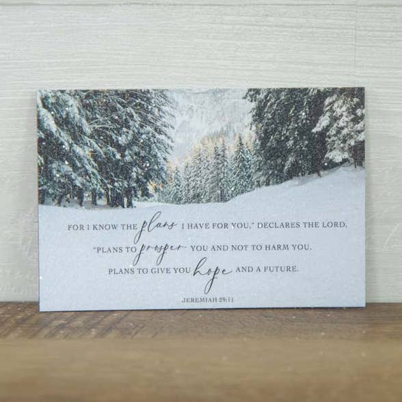 Nouveau Magnet Pailleté Pour Je Connais Les Plans Que J'ai Pour Vous Art pour la vente par Summer Snow Art