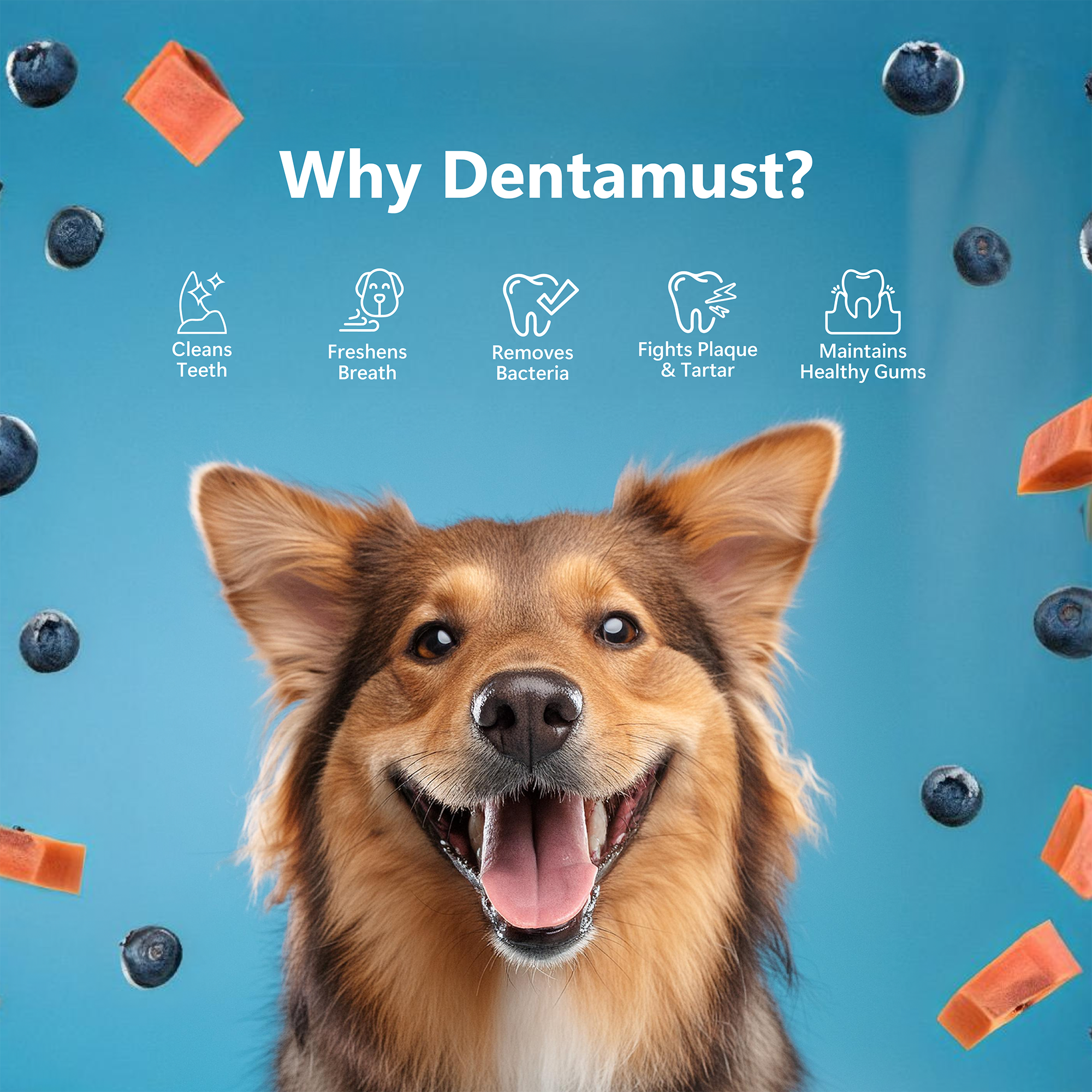 Pawfect Foods - Vendita all'ingrosso Snack - Cani - Pawfect Dentamust Masticabili al Formaggio Himalayano con Mirtillo e Papaya per Cani|Masticabili dentali di lunga durata con Superfood|Tutto Naturale, Alto contenuto proteico|Senza cereali|Confezione da 1 per cani di taglia media (70g/2.47oz)3