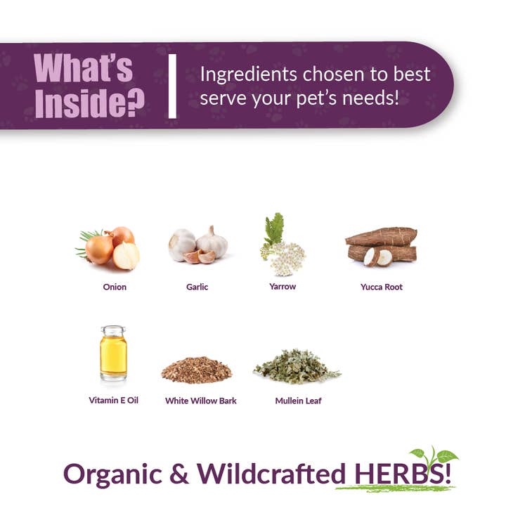 Amber NaturalZ, Inc. – Engroshandel Supplement til kæledyr - Kat/hund – Otaxium Drops | Pet Supplement2