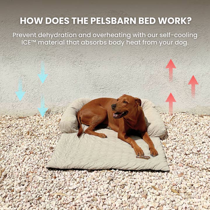 Pelsbarn - Wholesale Pet Bed - Dog - HeatRelief™ Cooling Dog Bed - Pelsbarn Helps Shelter Dogs!9