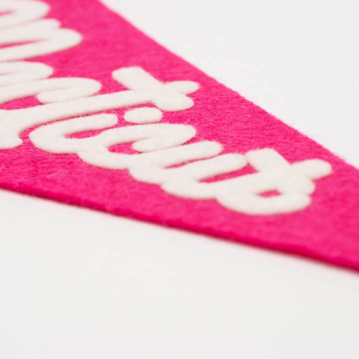 traveldashery - Wholesale Banner - connecticut pennant28