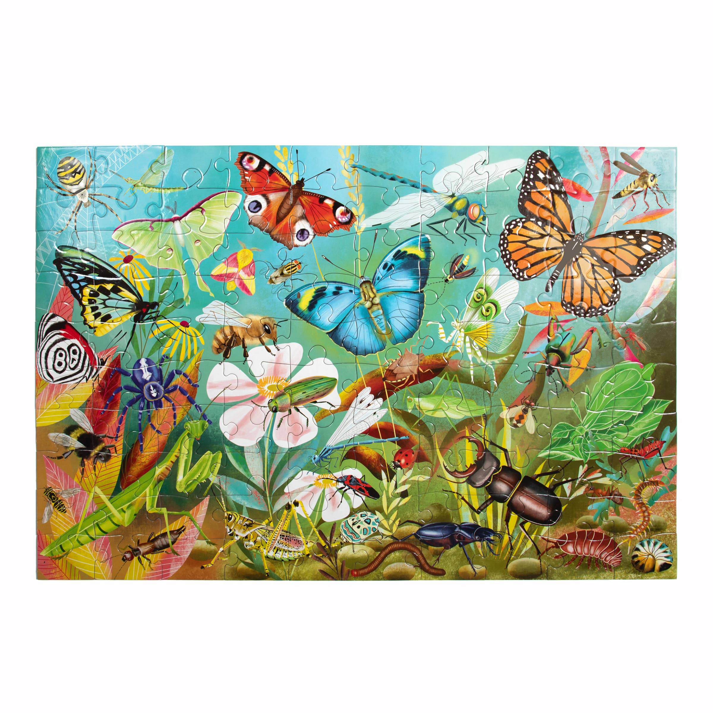 eeBoo - Wholesale Puzzle - Kids - Love of Bugs 100 Piece Puzzle2