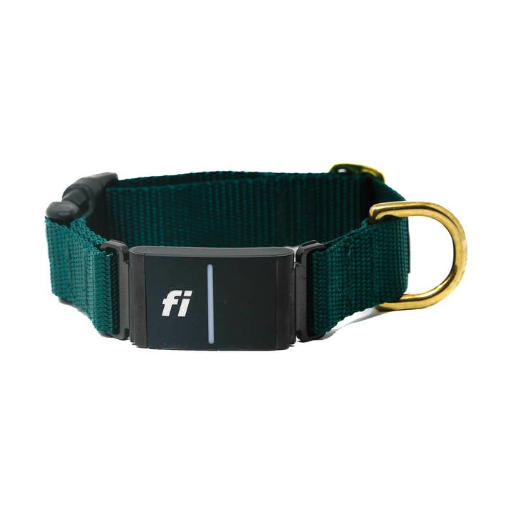 Collier Fi - Vert Forêt pour la vente par LUCKY + DOG