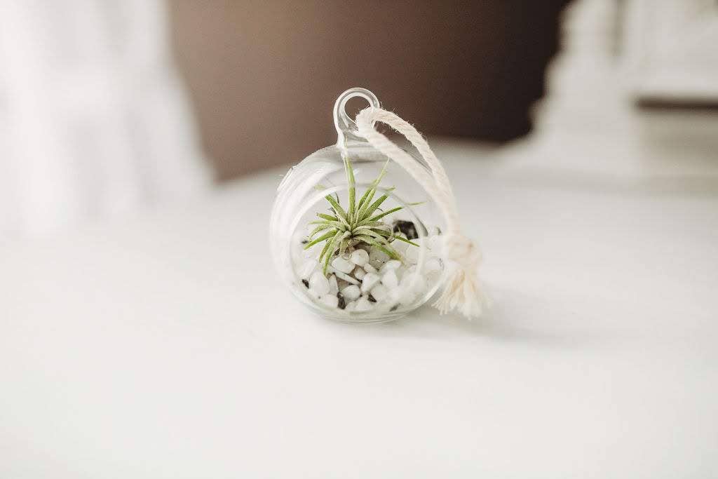 The Simply Crafty Shop - Wholesale Terrarium - Mini Orb Air Plant Terrarium Kit - Semi-Precious Stone46
