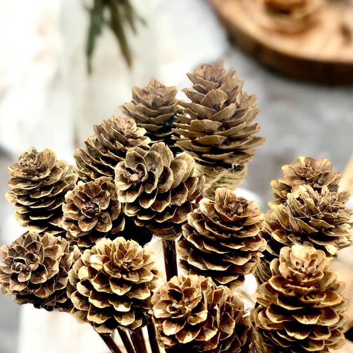 Mini Pine Cone, Conjunto de Substituição de Difusores de Palhaca de Rattan de 9" por atacado de Sunsum Intentional Living
