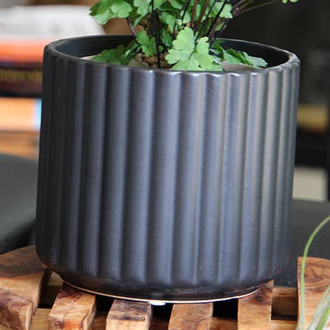 Brush Comb Planter, Matte Black, 8"X8" for wholesale by Pacific Home & Garden