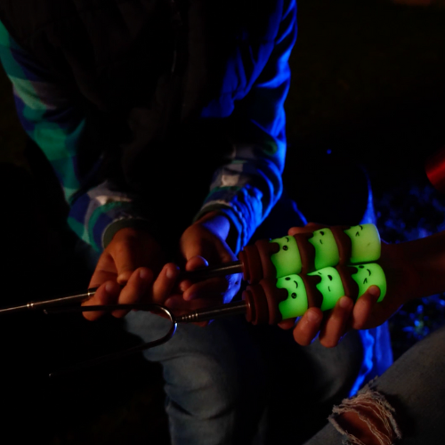 The S'mores Company - Wholesale Roasting Stick - S'mores Marshmallow Roasting Sticks - Glow in the Dark -Case8