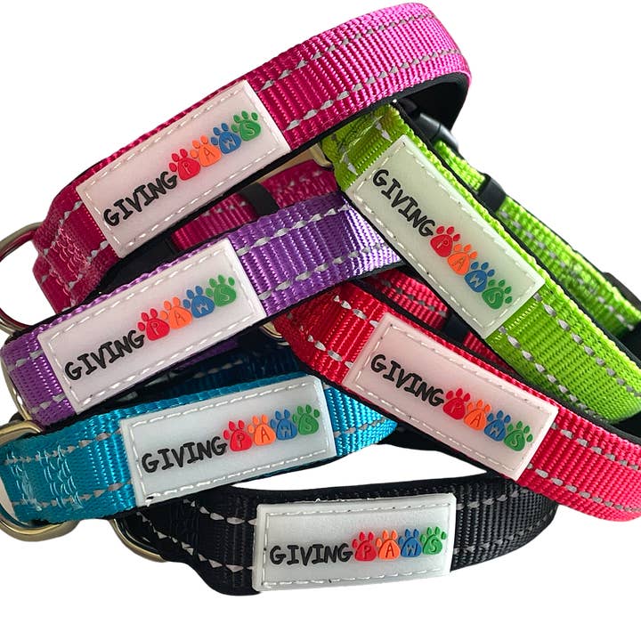 Reflective Padded Nylon Dog Collar for wholesale by Giving Paws