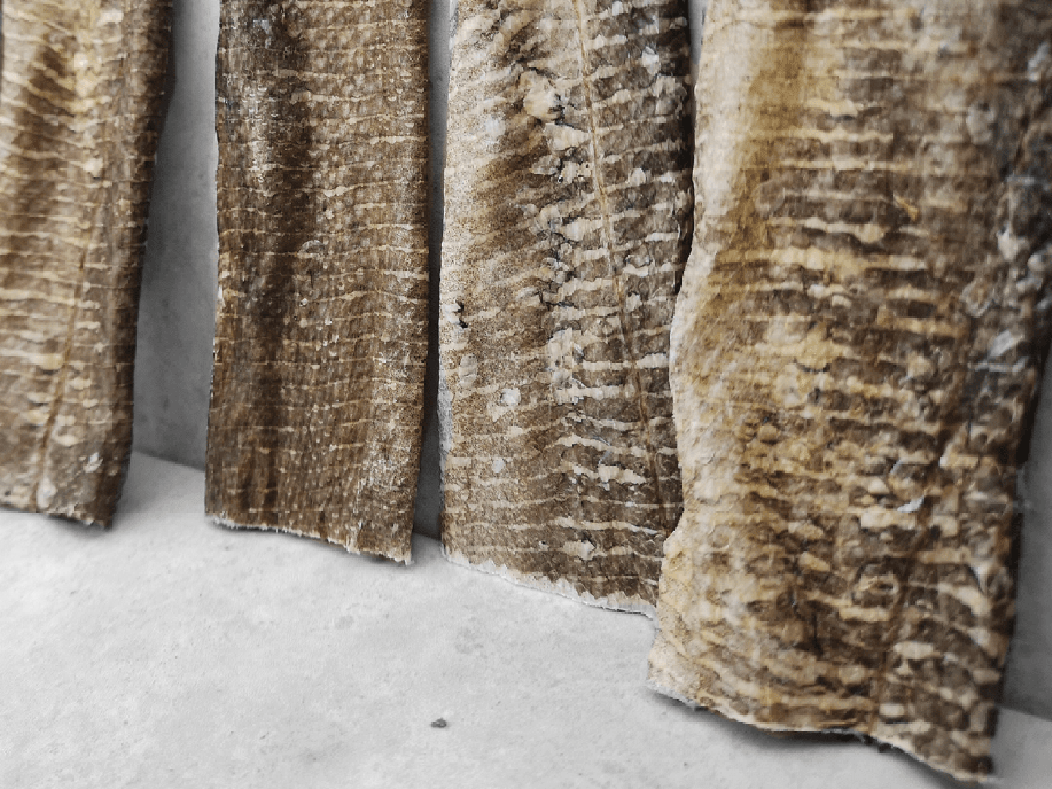 Goodchap's - Wholesale Pet Treats - Dog - Whitefish Jerky | Natural Dog Chews | Compostable Packaging 3