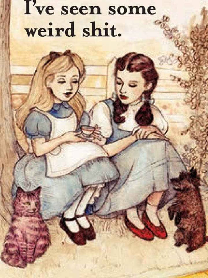 Magnet: I've Seen Some Weird Shit for wholesale by Cedar Witch Goods