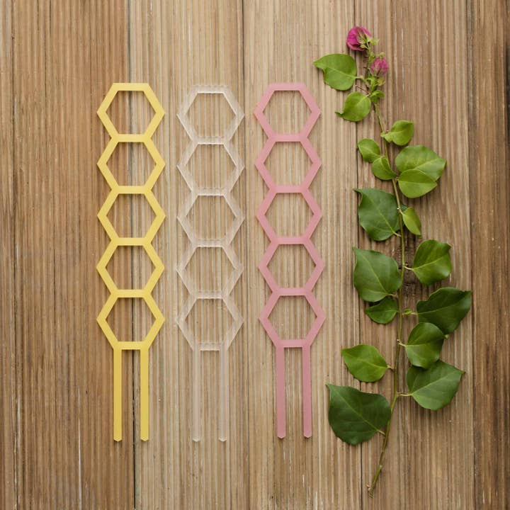 Hockings Climber for wholesale by Honeys Plant Climbers