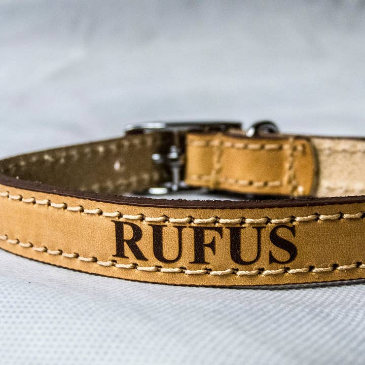 Coleira de cão bronzeada personalizada em uma variedade de tamanhos por atacado de The House nameplate company