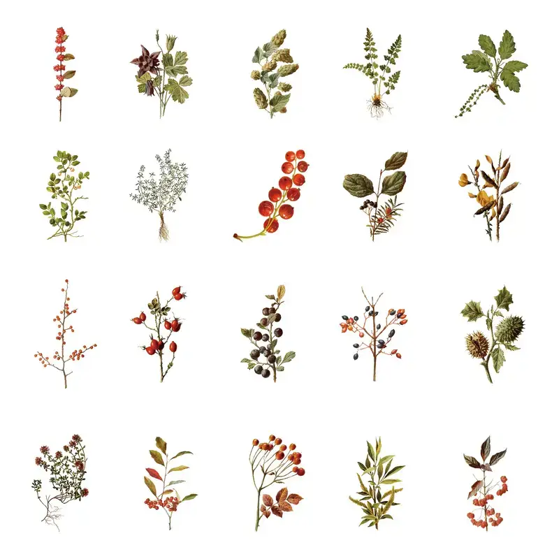 Magnifique Hearts - Vendita all'ingrosso Adesivo - 40 adesivi botanici - Funghi/Piante in PET impermeabile5