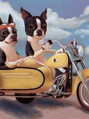 Impression artistique sur un chien, un terrier de Boston à moto pour la vente par Brian Rubenacker studios