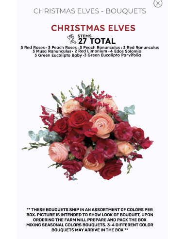 Florasource - Wholesale Fresh Cut Flowers - Premium pre made Christmas Bouquets 8 Bunches4