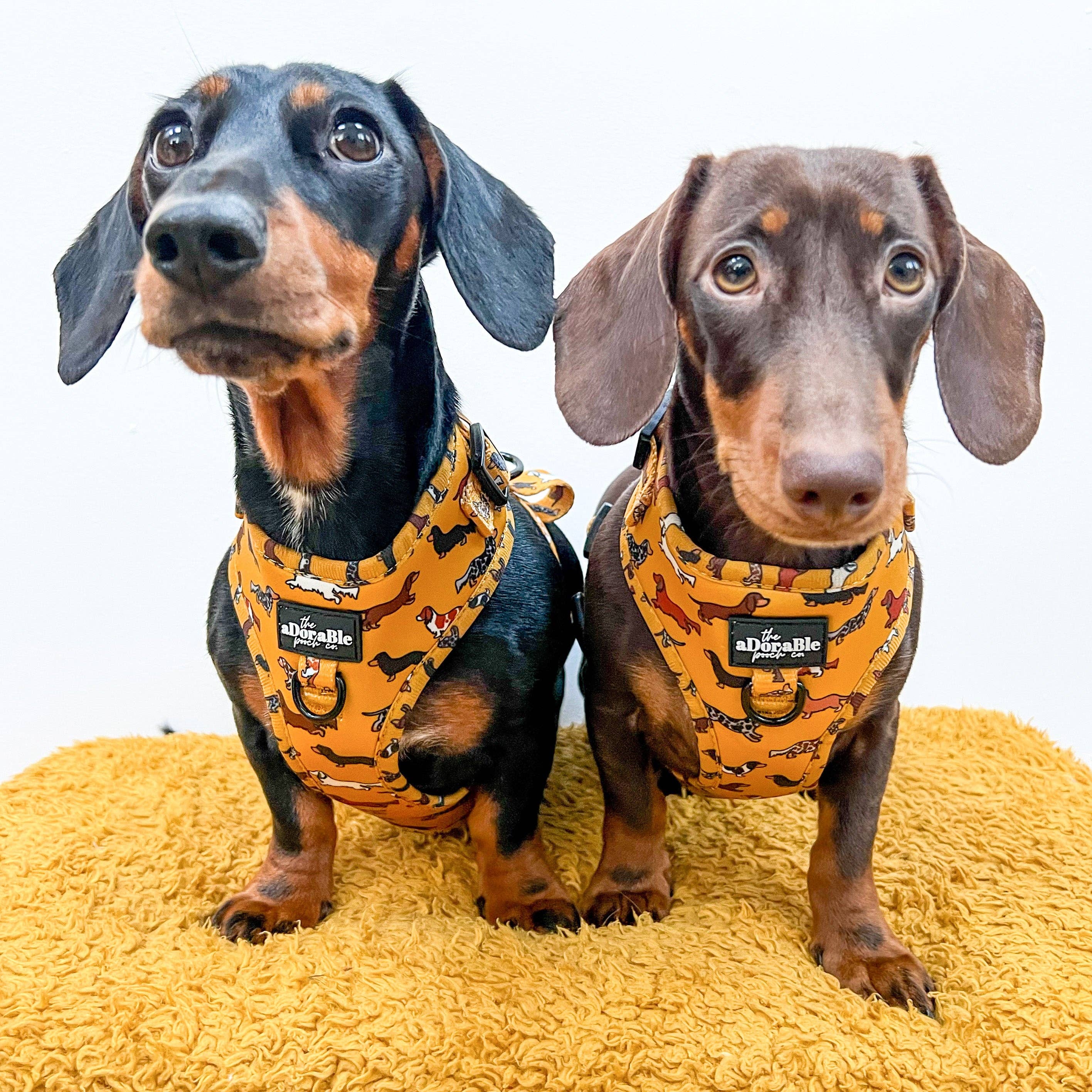 The aDoraBle Pooch Company - Wholesale Pet Harness - Dog - Adjustable Harness - Dashing Dachshunds7