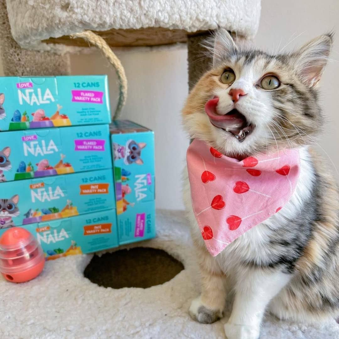 Love, Nala - Wholesale Pet Food - Cat - Adult Cat Food - FLAKED Variety Pack6