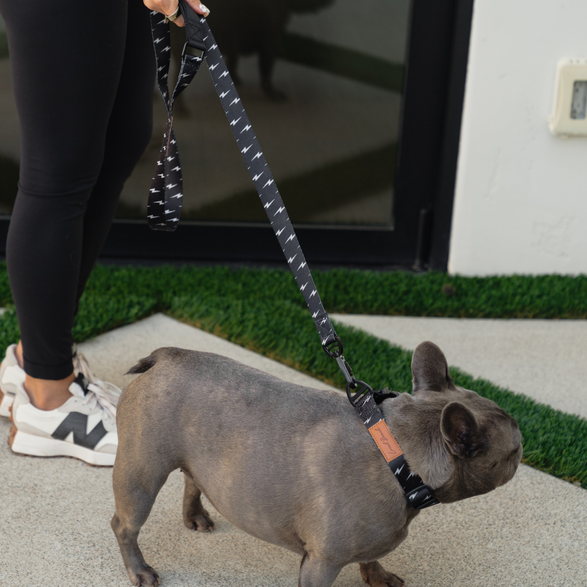 Local Beach Lightning Bolt Adjustable Dog Collar Black for wholesale on Faire5