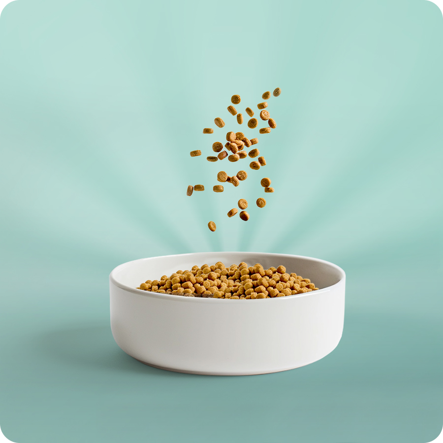 Omni - Vente Nourriture – chien - Ventre sensible3