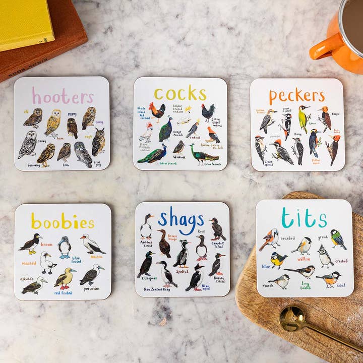 Ensemble de 6 dessous de verre Bird Pun pour la vente par Sarah Edmonds Illustration