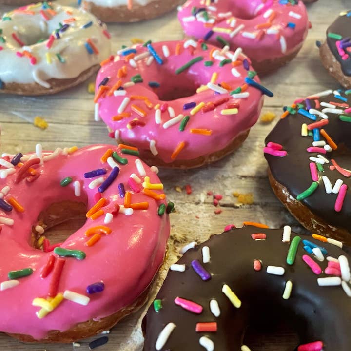 YumYum4DOGS - Wholesale Pet Treats - Dog - HOMER Classic🍩 Donut Dog treats