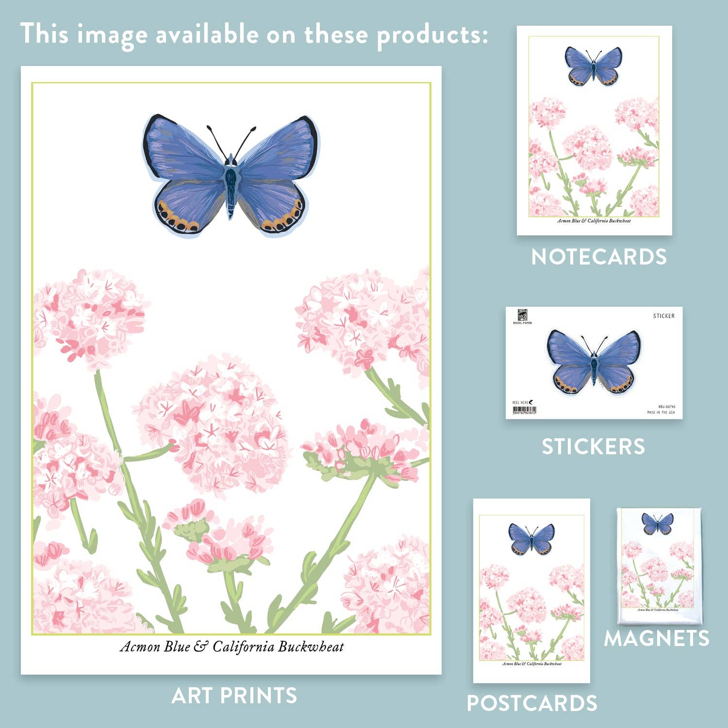 Rigel Paper – wholesale Magnet – RBU-740 Acmon Blue Butterfly Magnet1