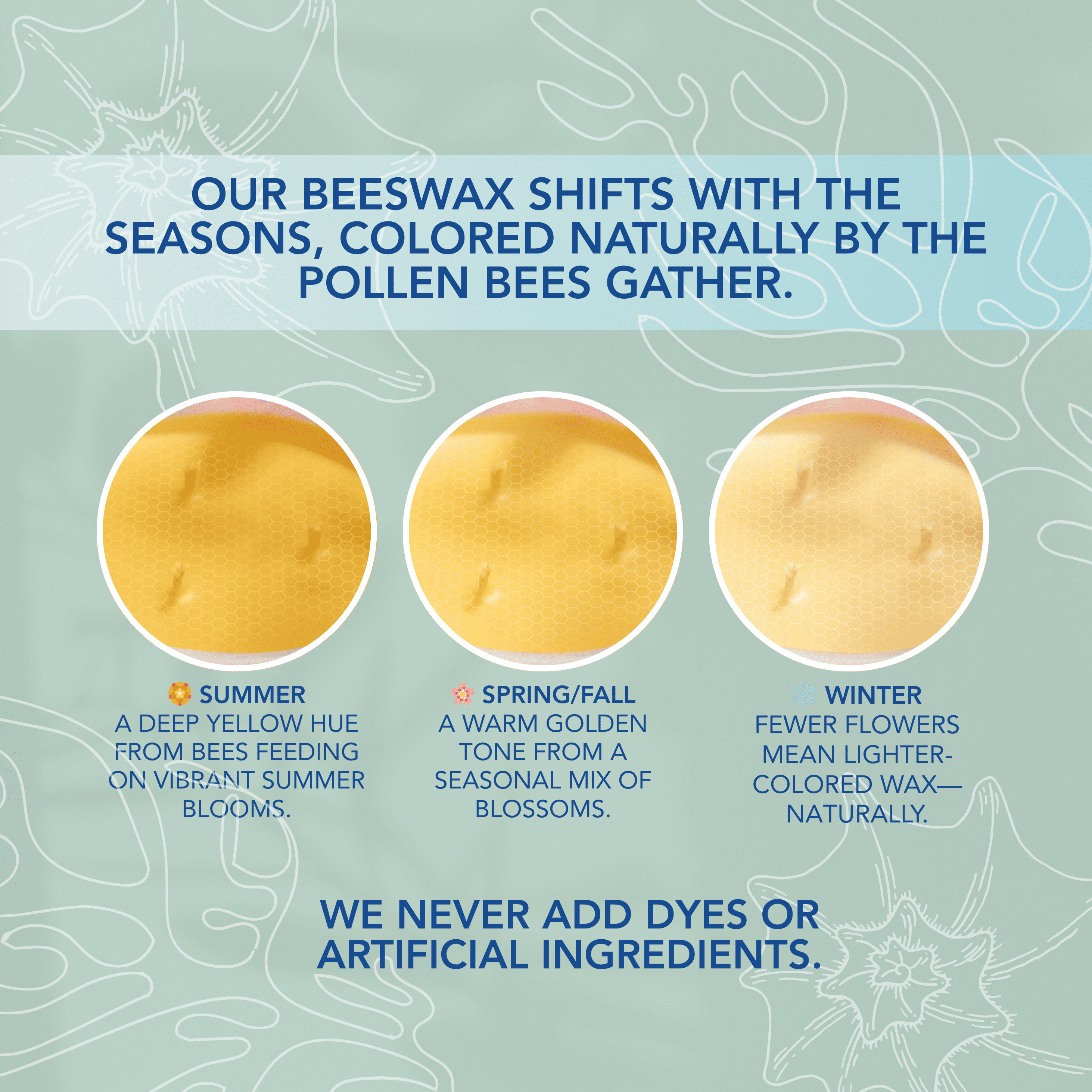 Living Good Candle Co. - Wholesale Jar/Filled Candle - Coastal Breeze - Beeswax Candle - Ocean Fresh Citrus7