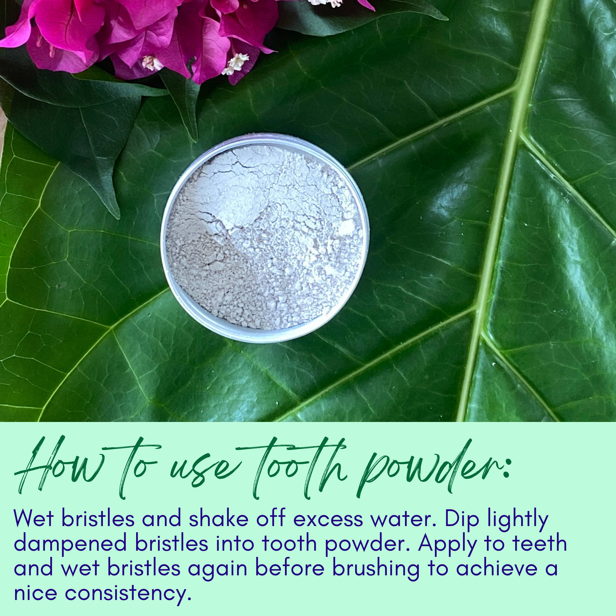 Sweet ʻŌkole Soap Co. - Wholesale Toothpaste - Herb Mineral Tooth Powder with Citrus, Clove & Noni4