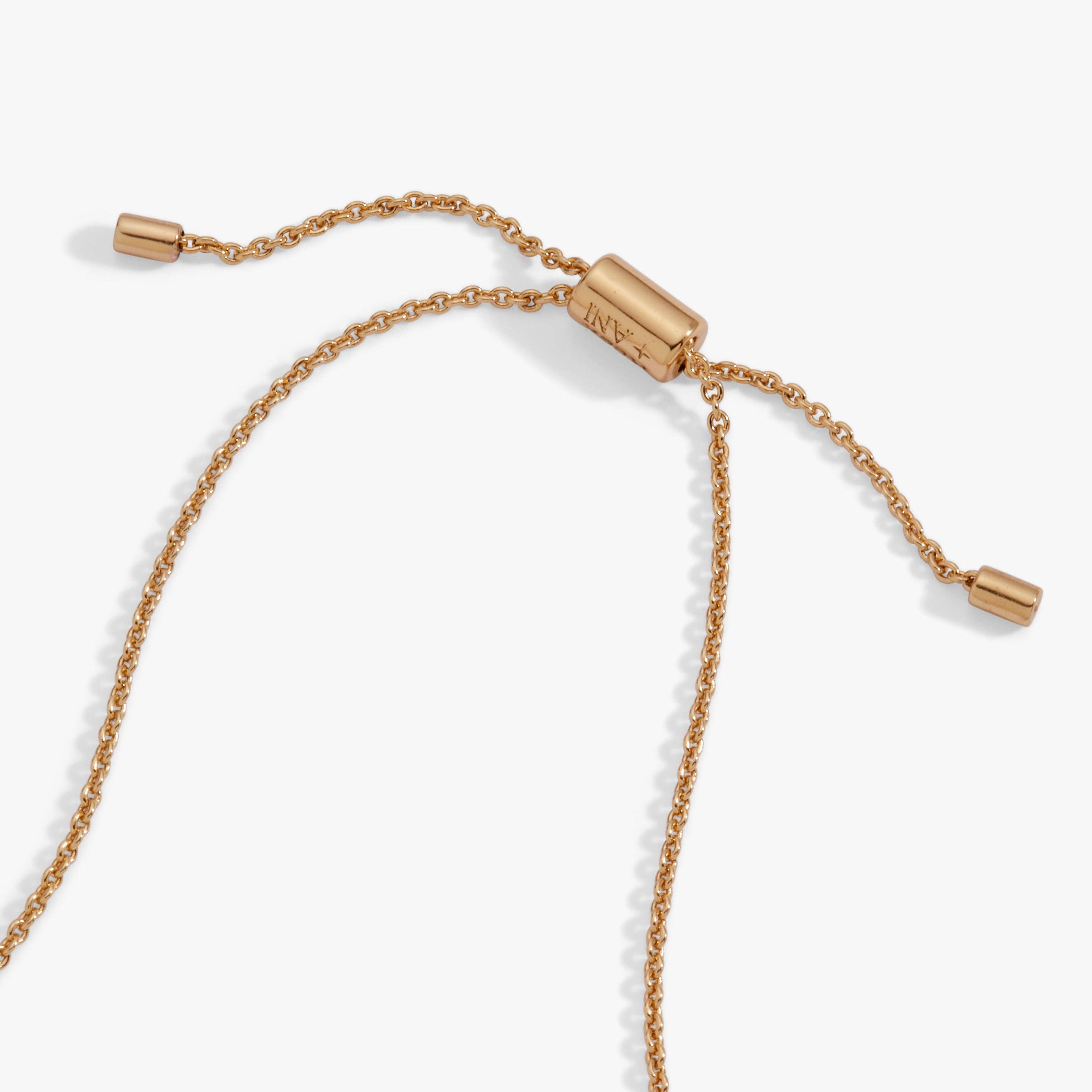 Alex and Ani - Wholesale Pendant/Charm Necklace - 'Written in the Stars' Potion Bottle Slider Necklace8