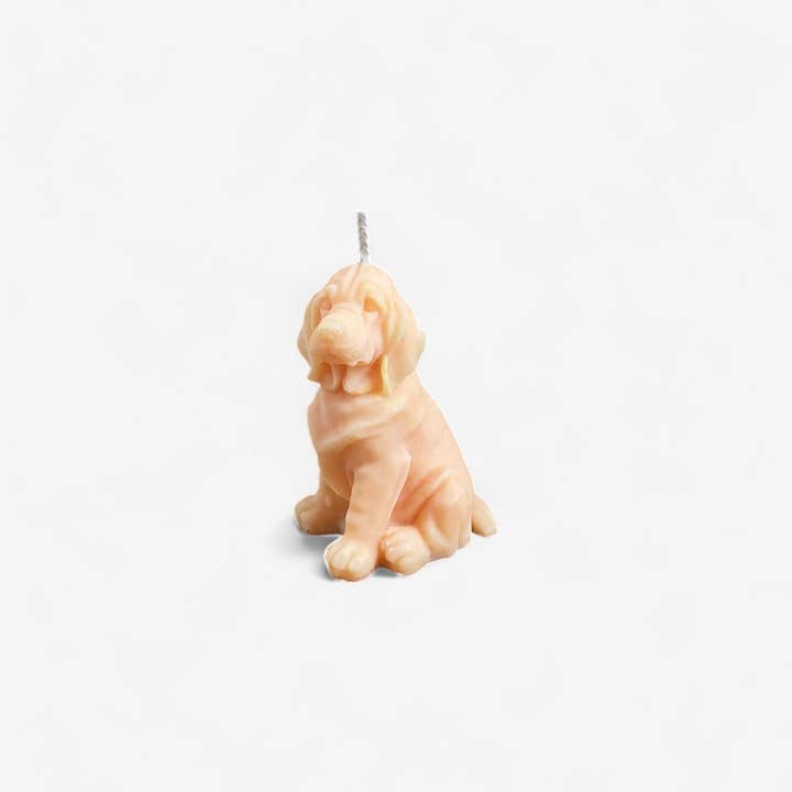 Comme Tu Veux - Wholesale Novelty Candle - Candle dog