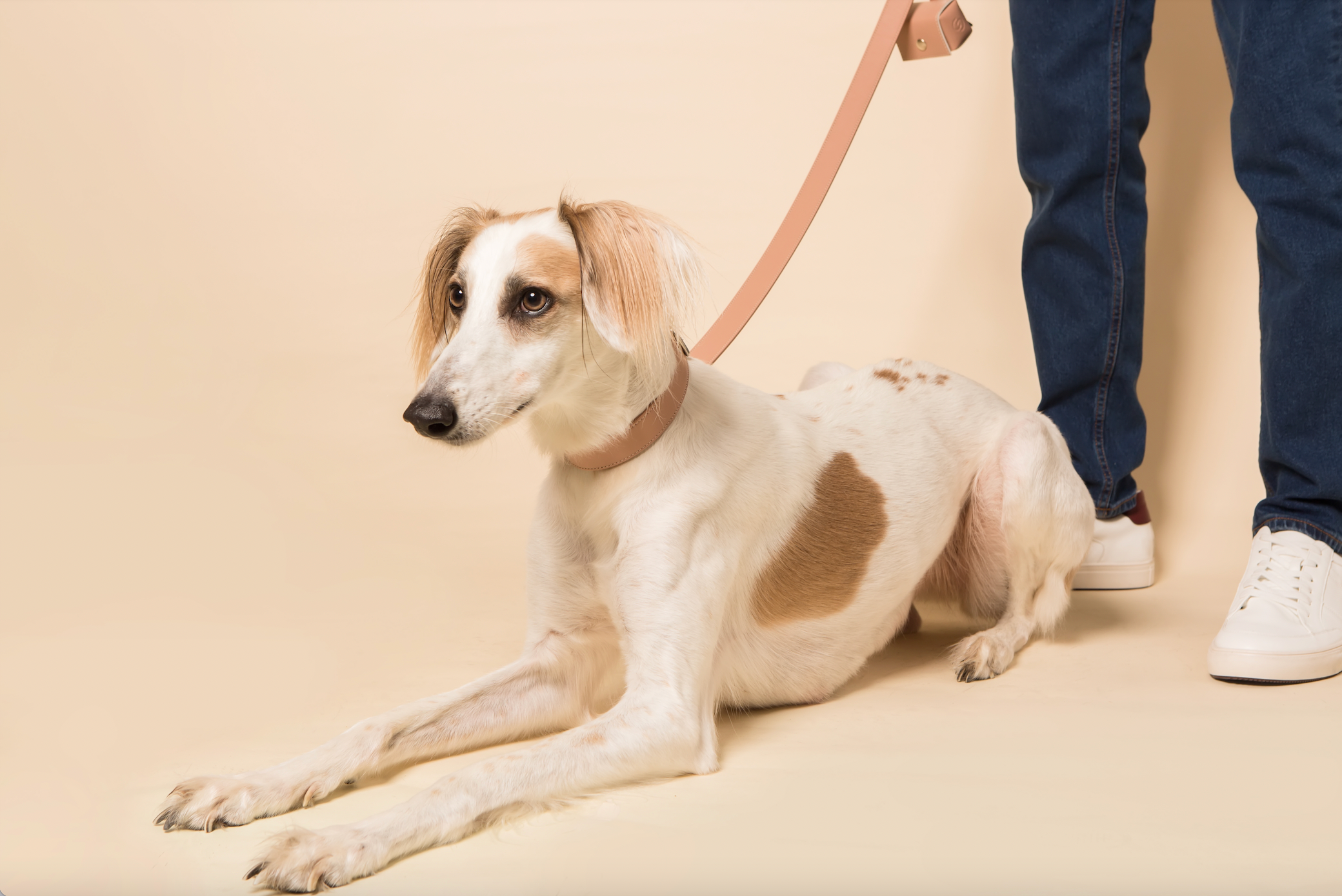 Skylos Collective - Wholesale Pet Leash - Dog - Pink Vegan Leather Dog Lead4