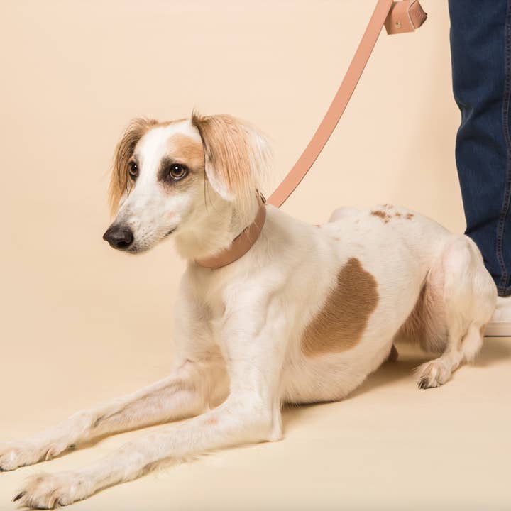 Skylos Collective - Wholesale Pet Leash - Dog - Pink Vegan Leather Dog Lead4