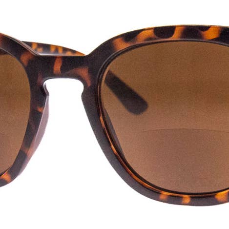 A.J. Morgan - Wholesale Sunglasses - Unisex - CABANA - BIFOCAL SUNGLASS READER1