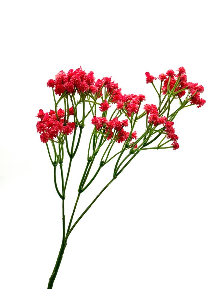 Real Touch Soft Baby Breath, rose gypsophile pour la vente par JKF & Co Pty Ltd