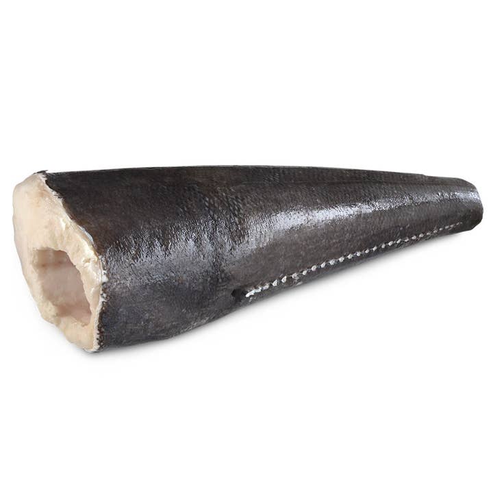 Loup de mer du Chili pour la vente par Onatru Foods