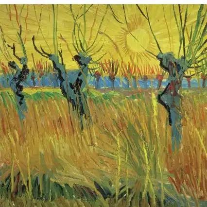 Books by splitShops - Wholesale History & Geography - Solar Dance: Van Gogh, Forgery, and the Eclipse of Certainty - Paperback