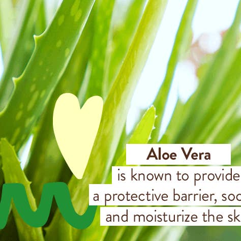 Babo Botanicals - Wholesale Aloe Spray/Cream - After Sun Aloe & Cucumber Soothing Mist