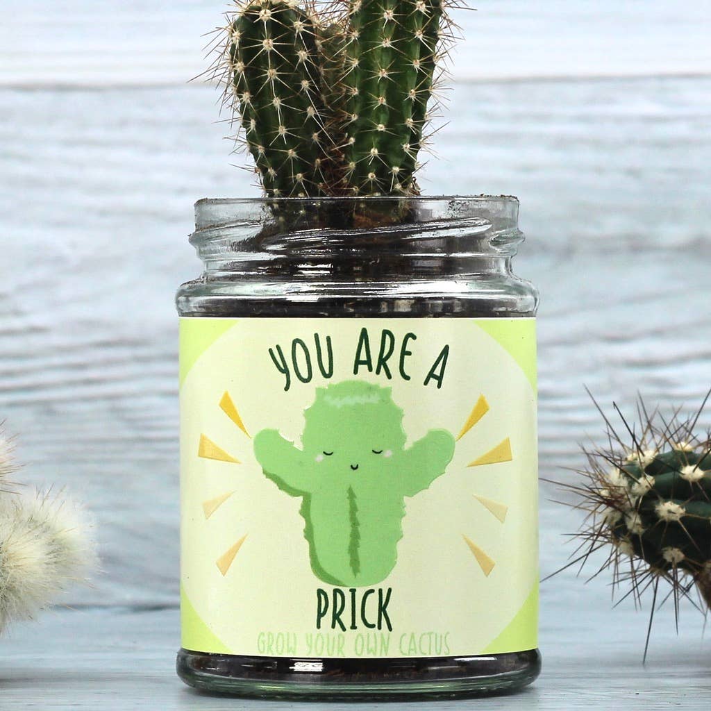BEEcycle - Wholesale Plant Seeds - Cactus Jar Grow Kit2