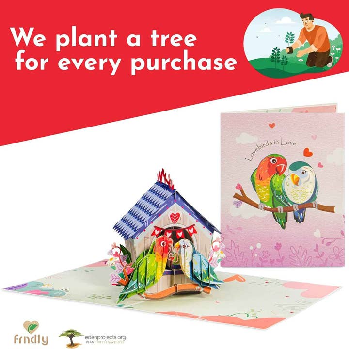 Paper Love - Wholesale Valentine's Day card - Love Birds House Frndly Pop Up Card - 8" x 6"4