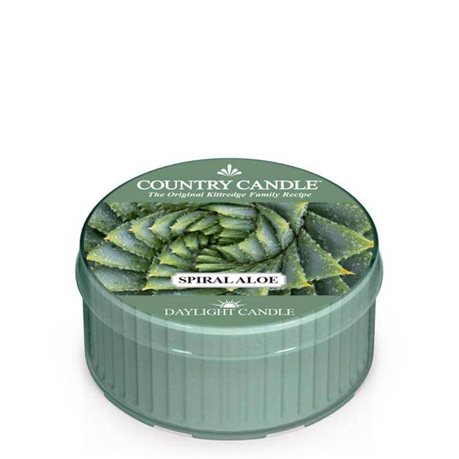 Spiral aloe daylight scented candle for wholesale by Country Candle